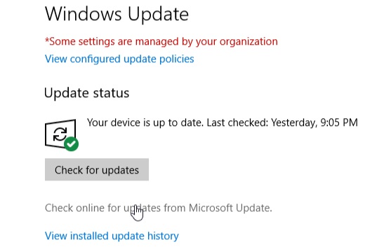 check online for updates from microsoft update